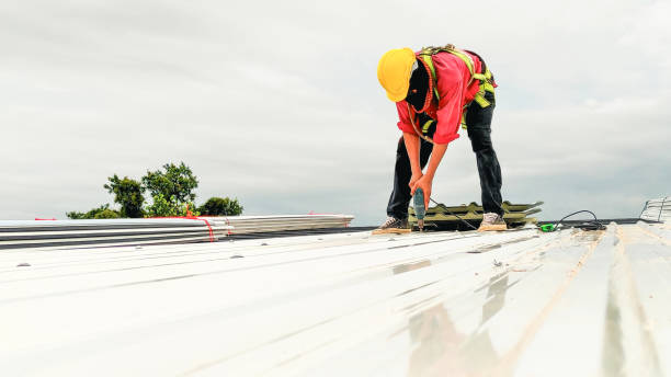 Best Steel Roofing  in Woodville, TX